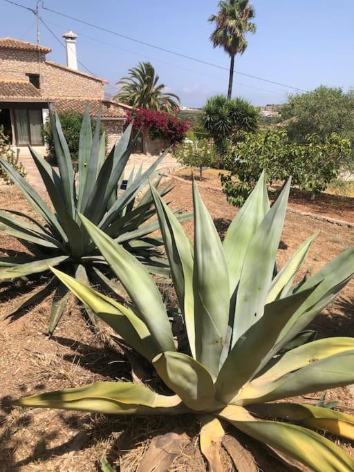 Rustico Appartment 'Olta' In Finca, See-And Garden Side Teulada Exterior photo